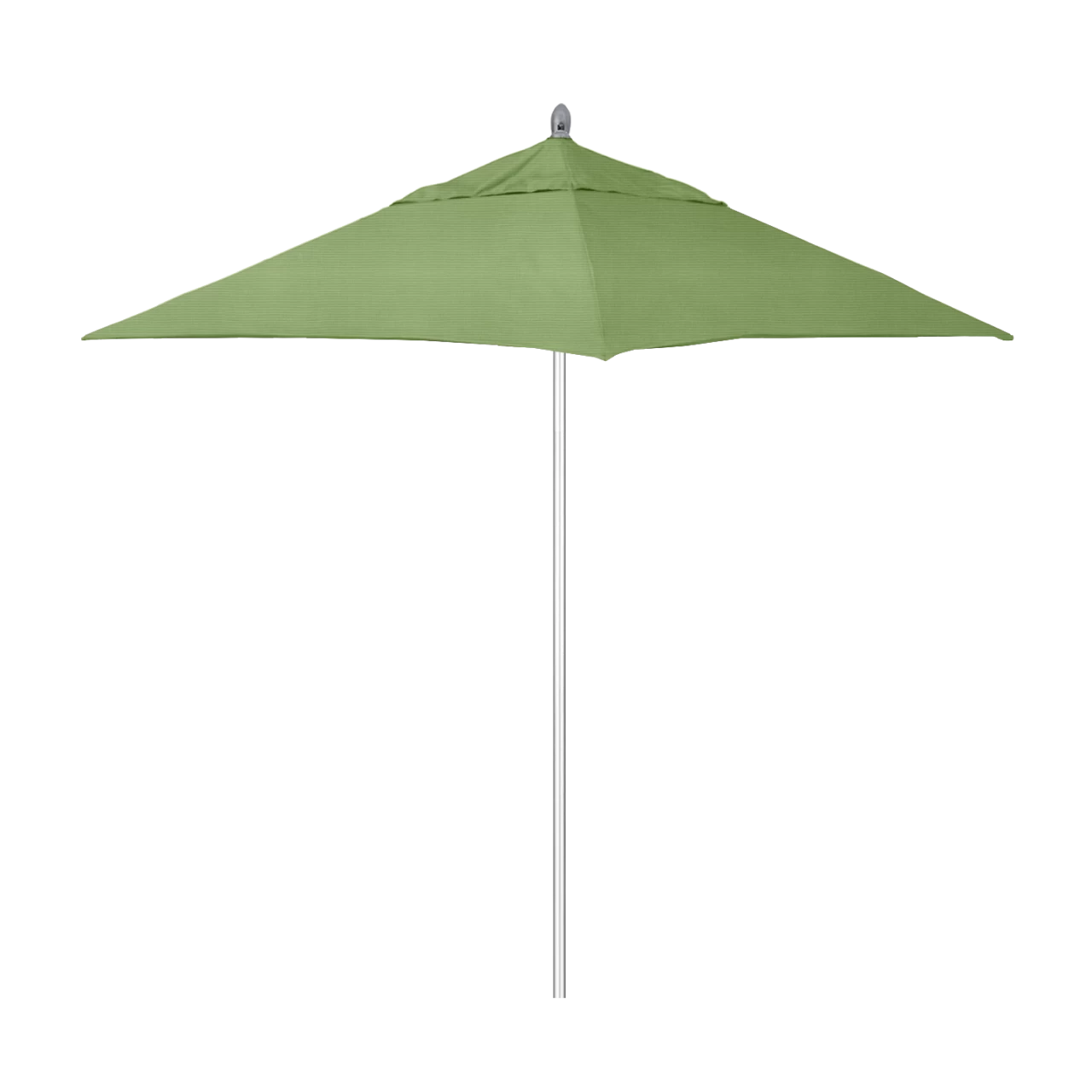 AAT604A-48022 Spectrum Cilantro