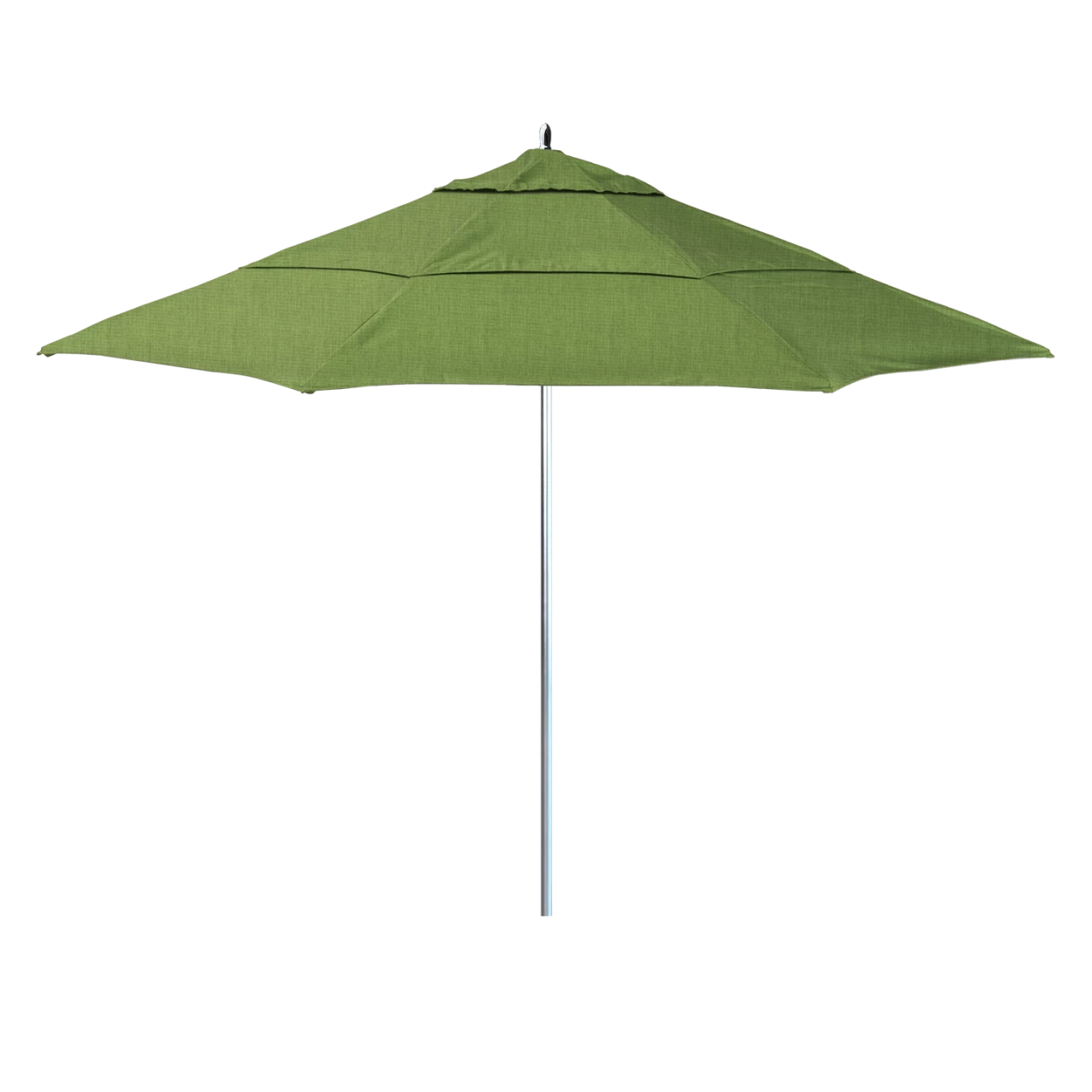 AAT118A-48022 Spectrum Cilantro