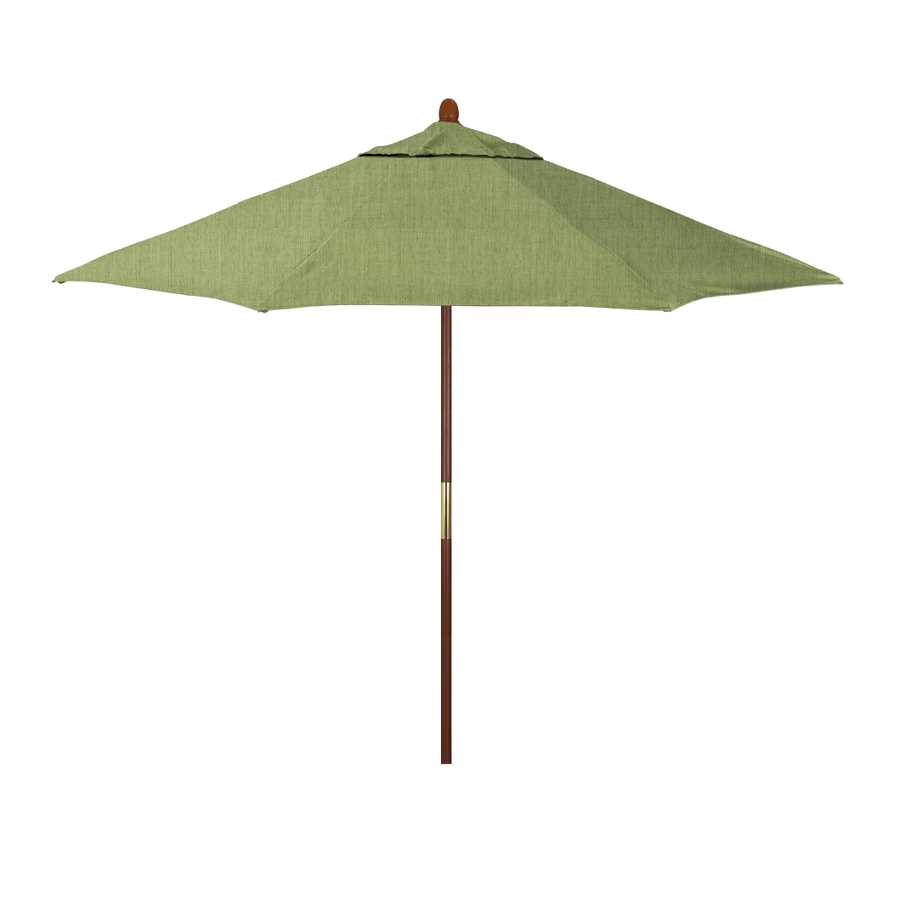 MARE908-48022 Spectrum Cilantro