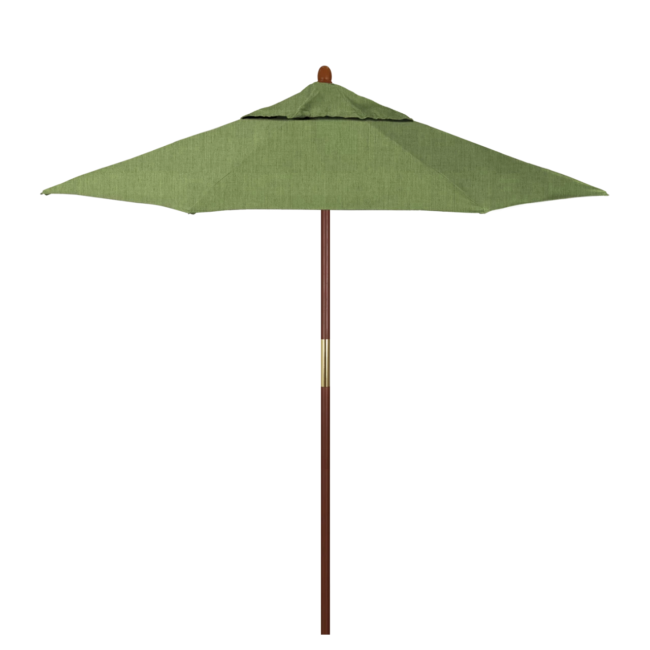 MARE758-48022 Spectrum Cilantro
