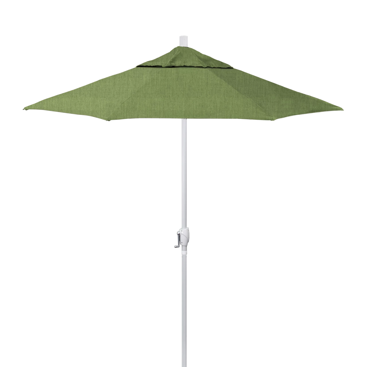 GSPT758-48022 Spectrum Cilantro - White Finish