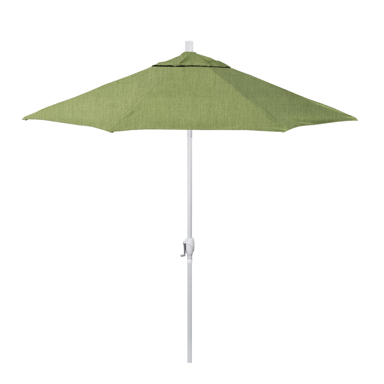 GSPT908-48022 Spectrum Cilantro - White Finish