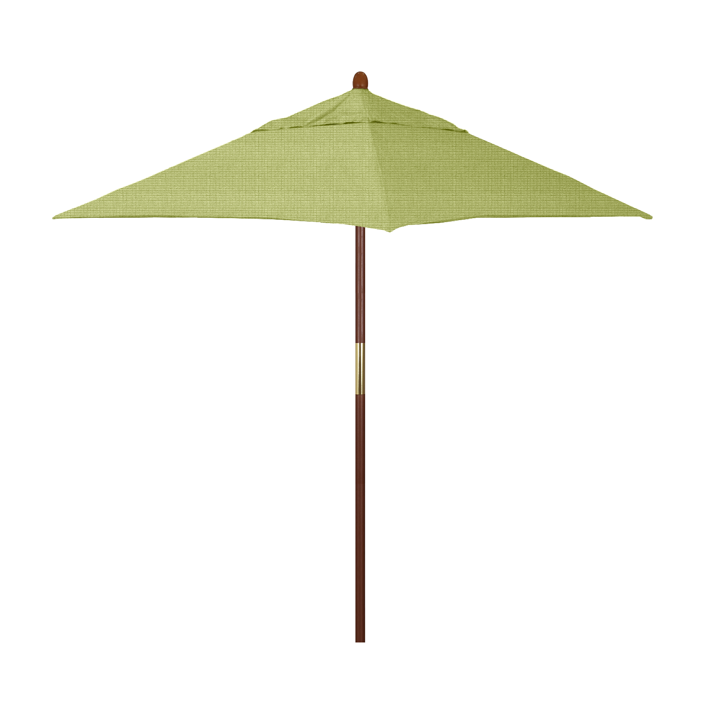 MARE604-5405 Parrot