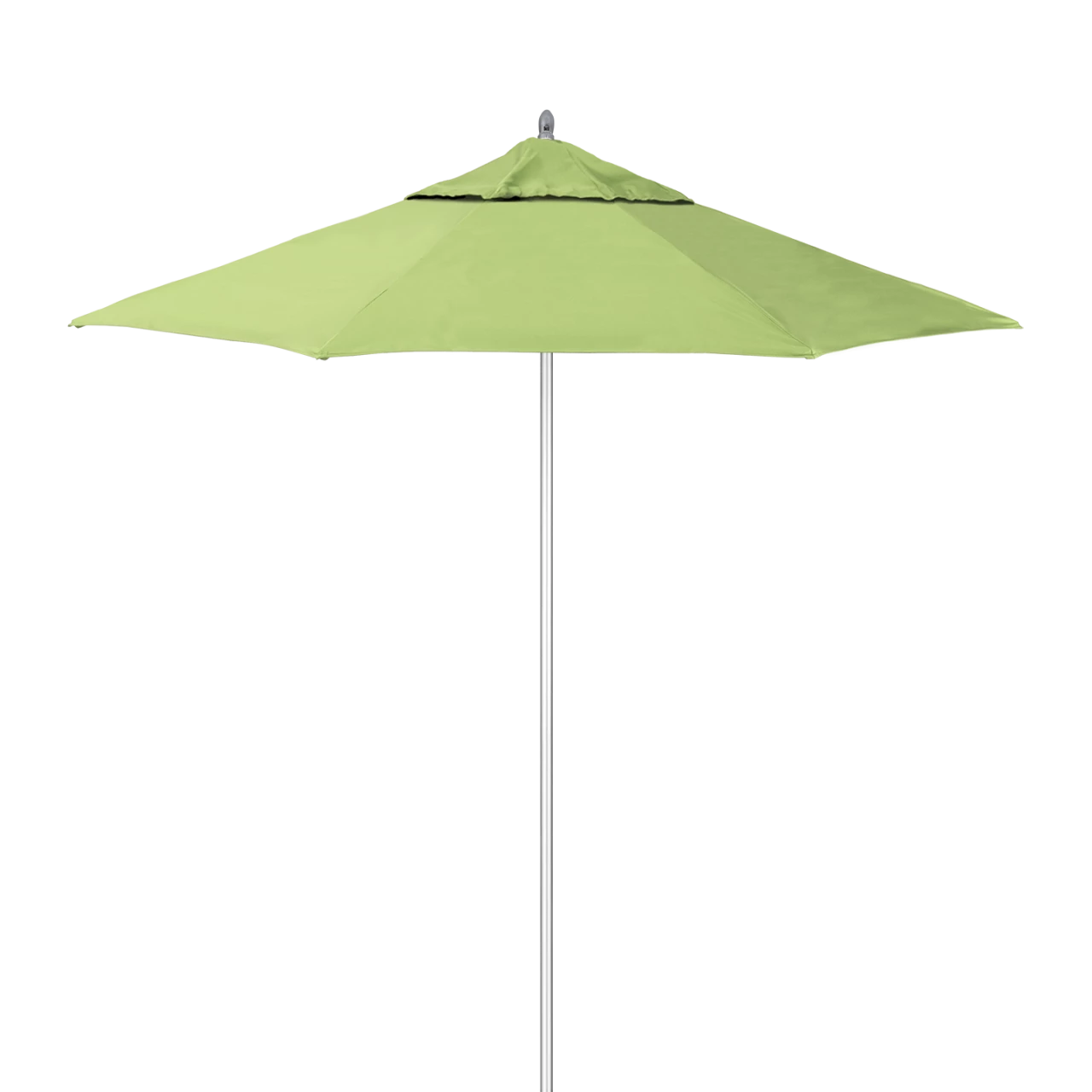 AAT758A-5405 Parrot
