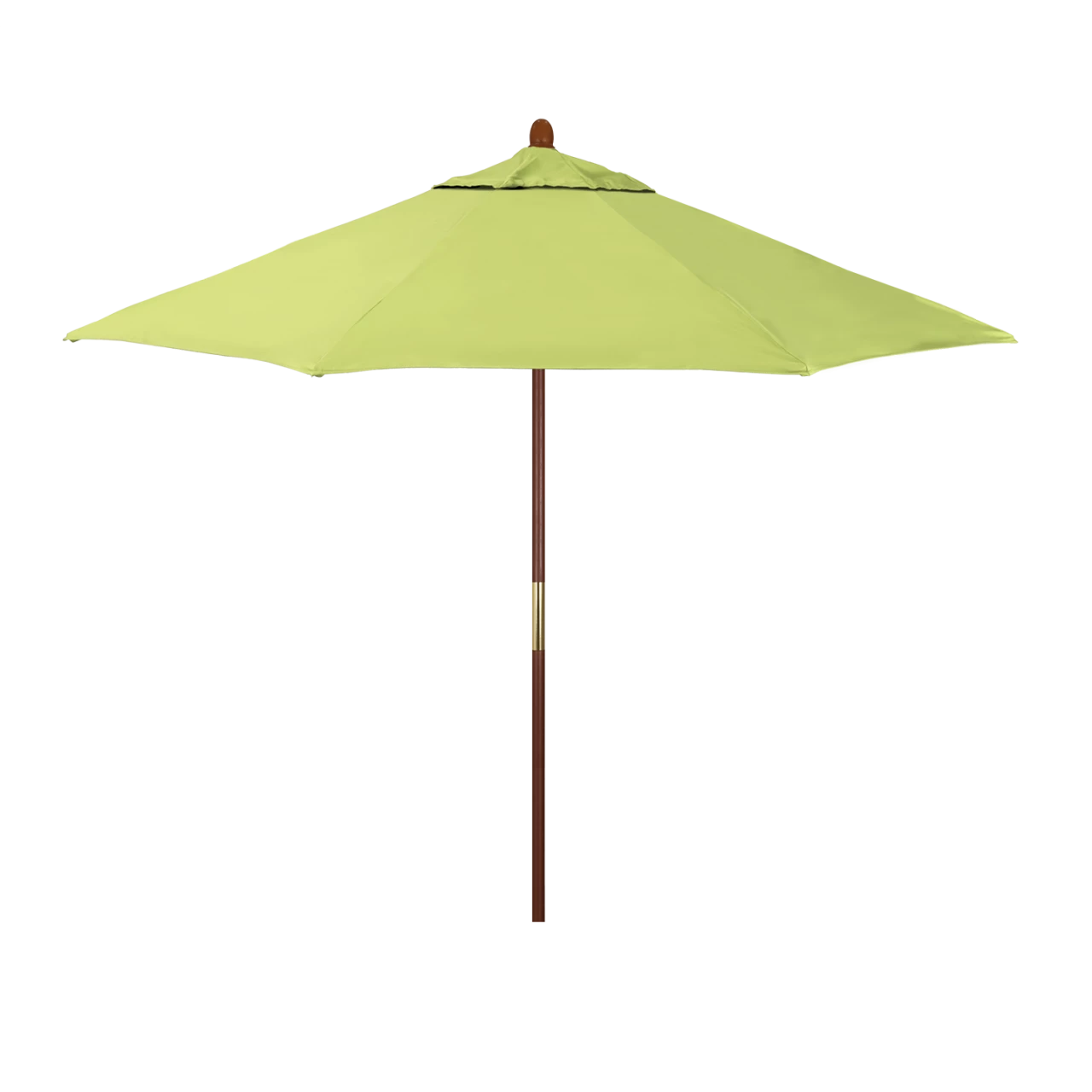 MARE908-5405 Parrot