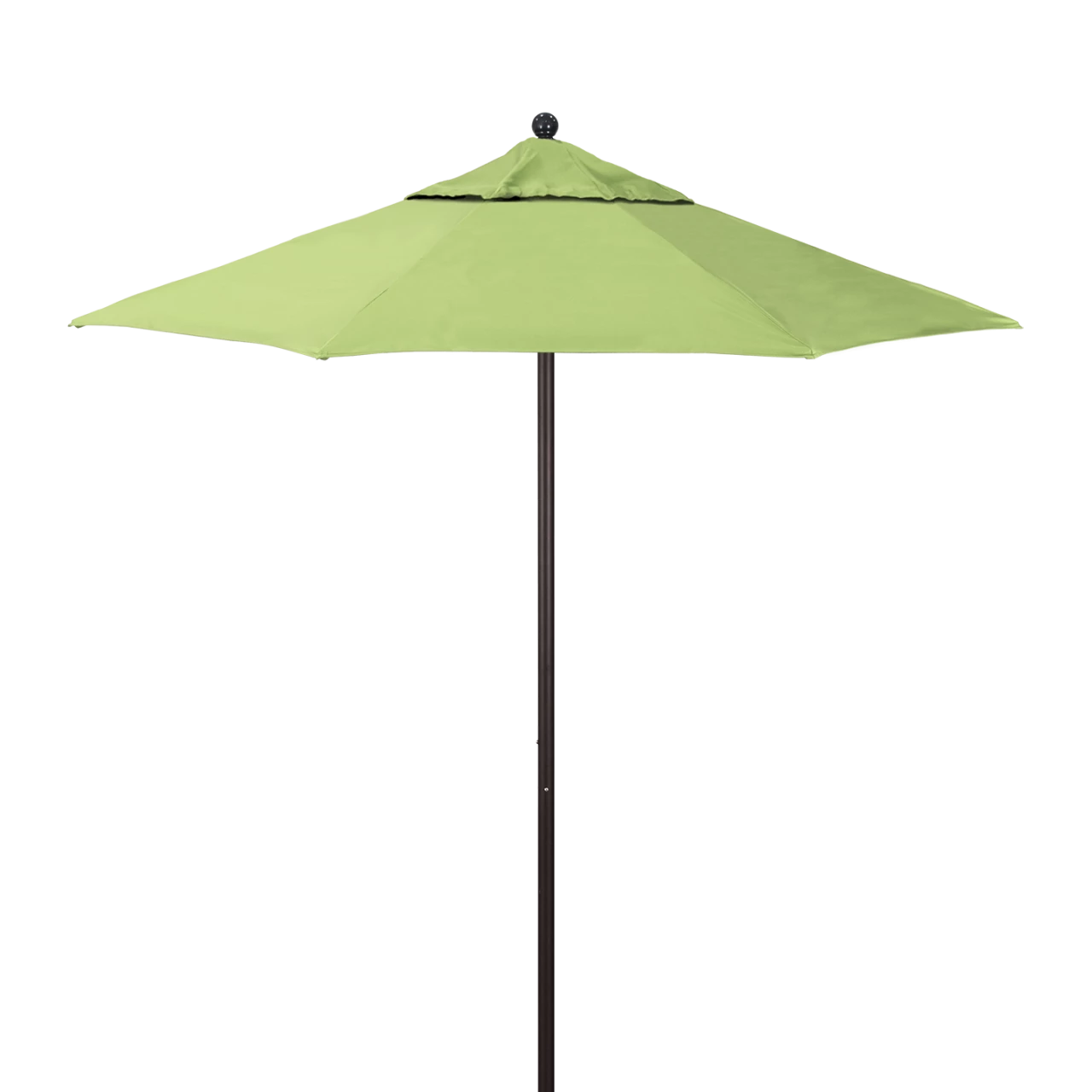 ALTO758-5405 Parrot - Bronze Finish