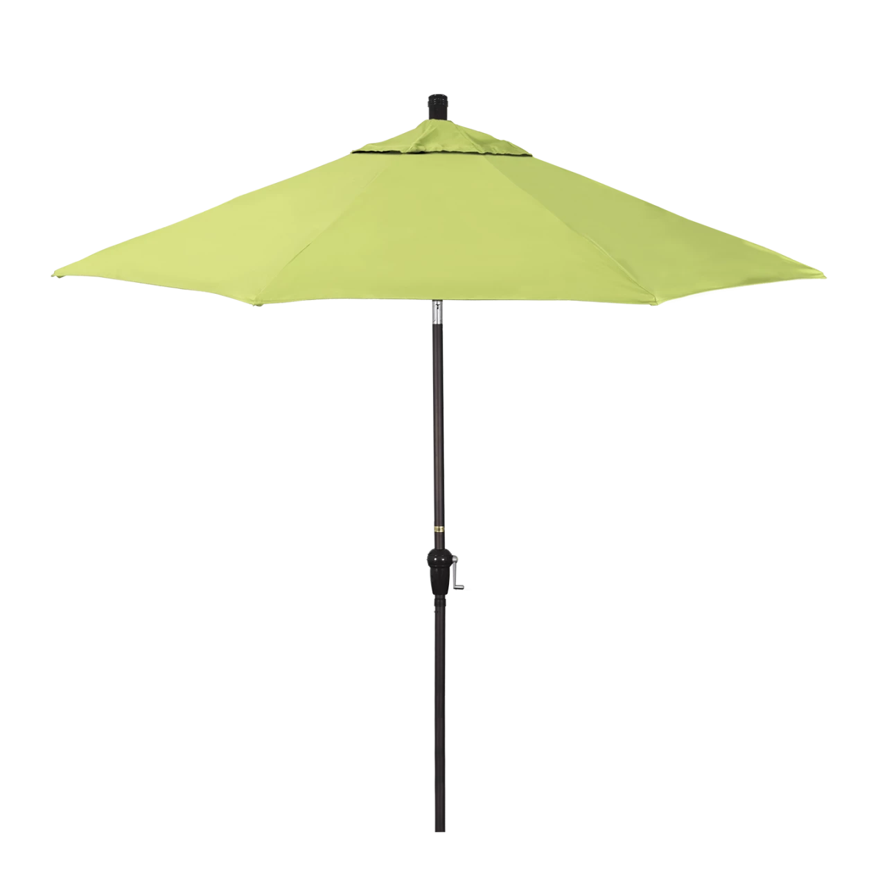 SDAU908-5405 Parrot - Bronze Finish
