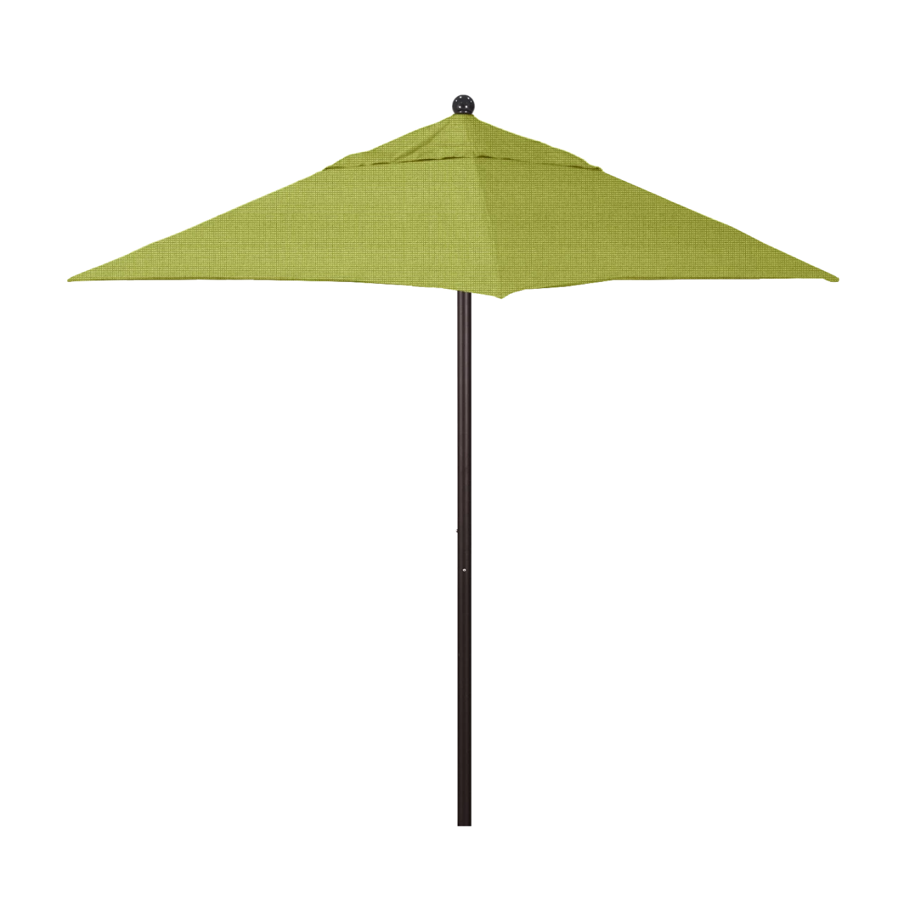 ALTO604-5405 Parrot- Bronze Finish
