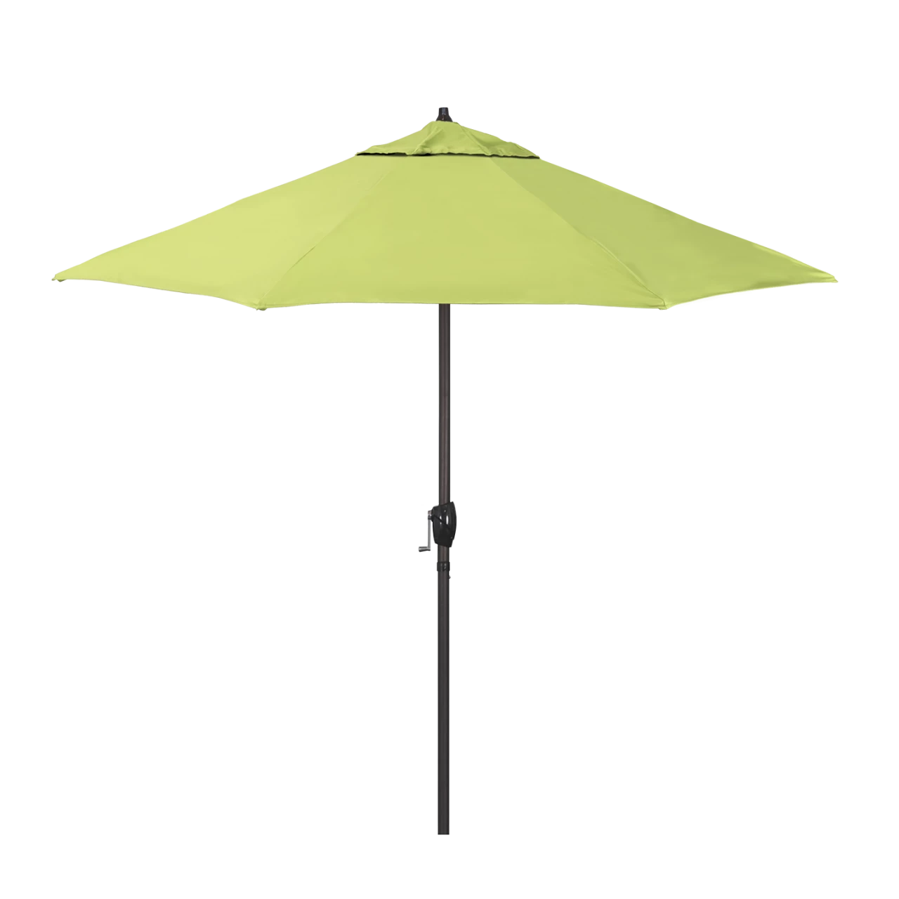 ATA758-5405 Parrot - Bronze Finish
