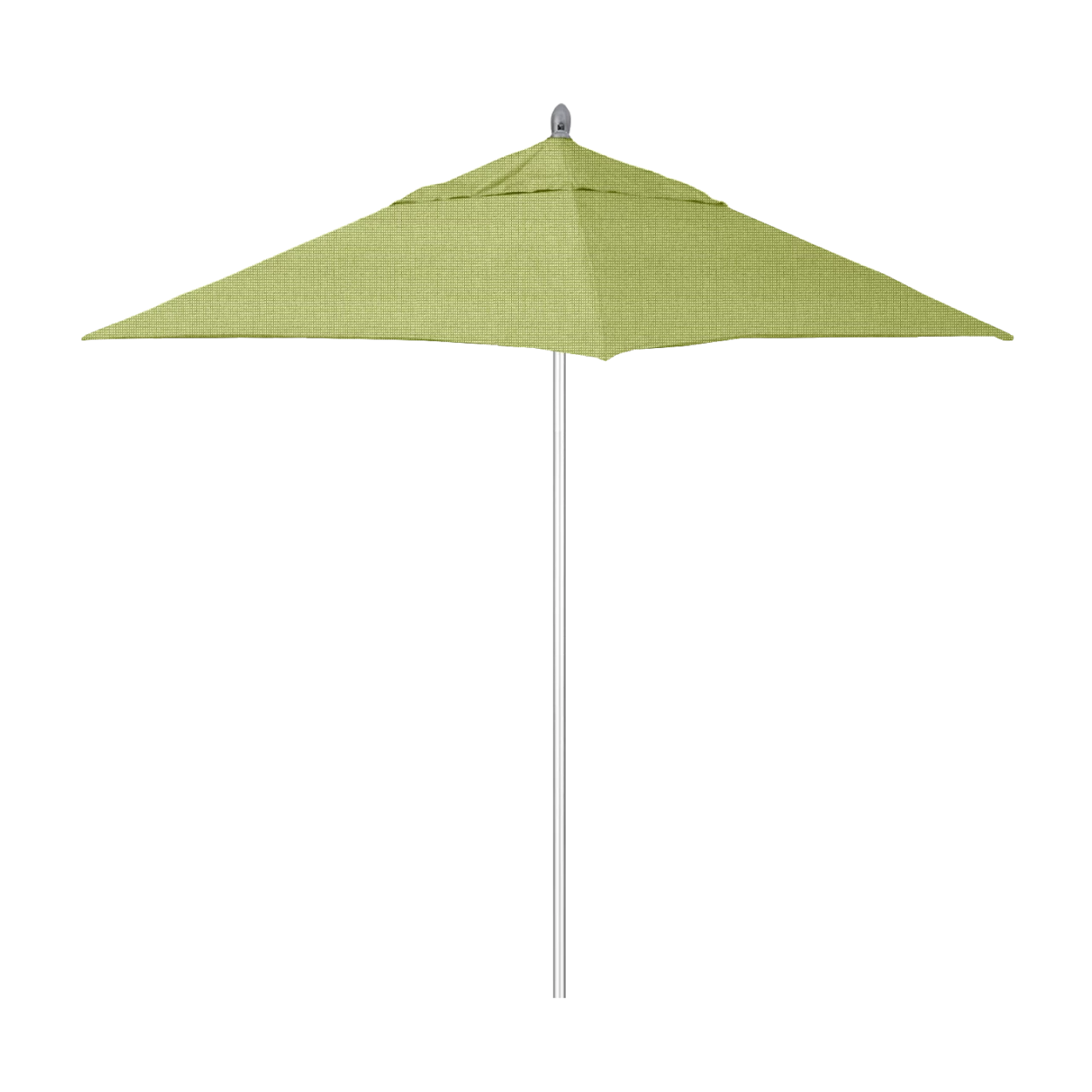 AAT604A-5405 Parrot