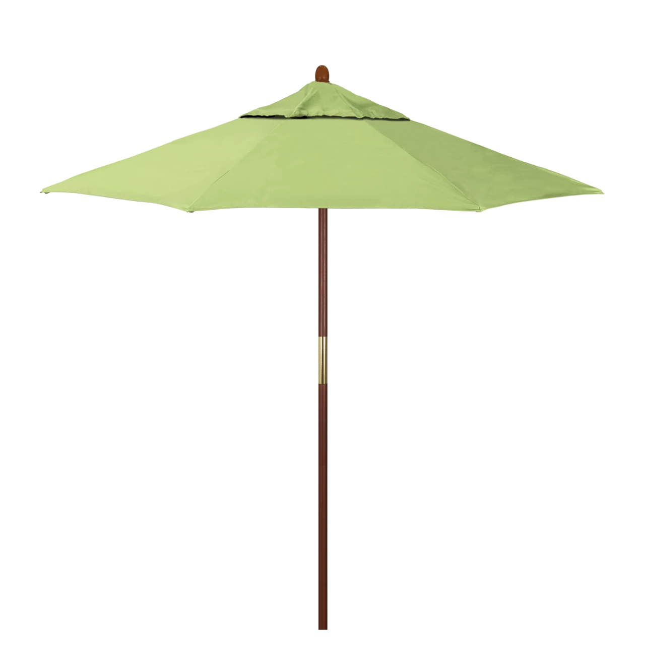 MARE758-5405 Parrot