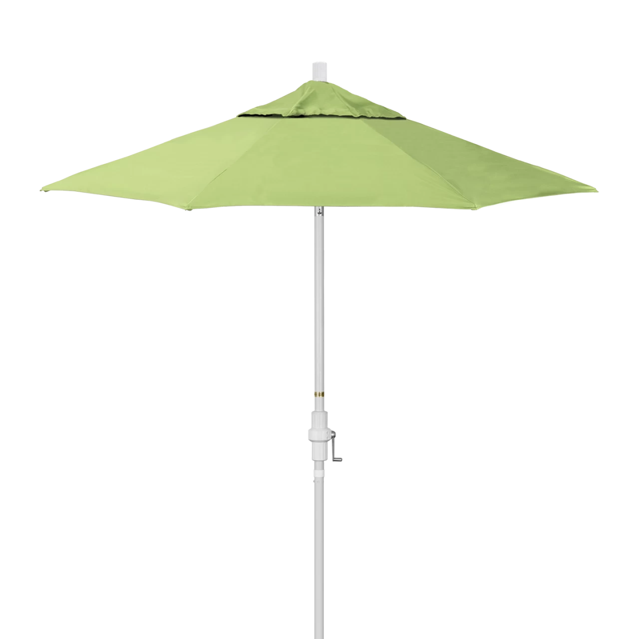 GSCUF758-5405 Parrot - White Finish