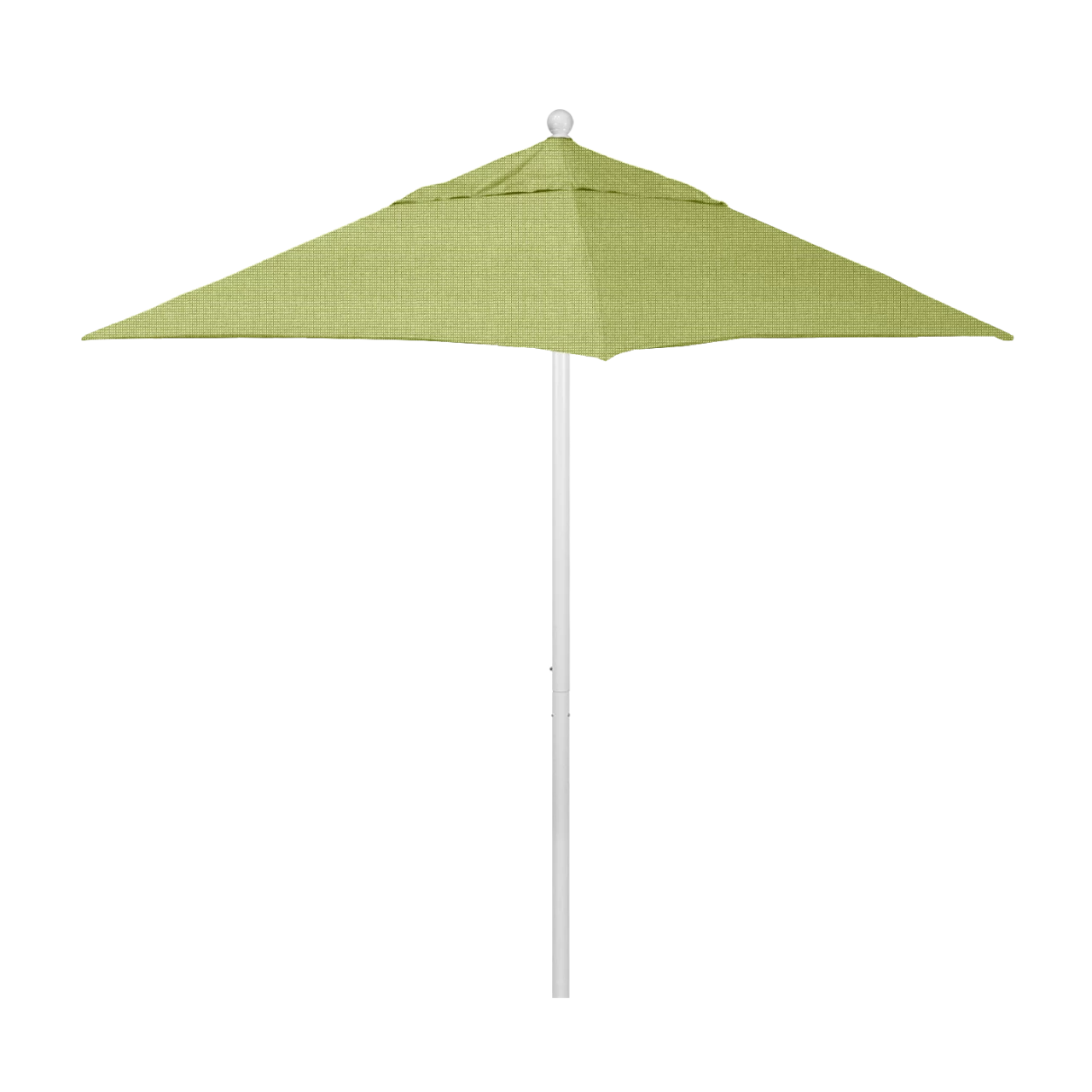ALTO604-5405 Parrot- White Finish