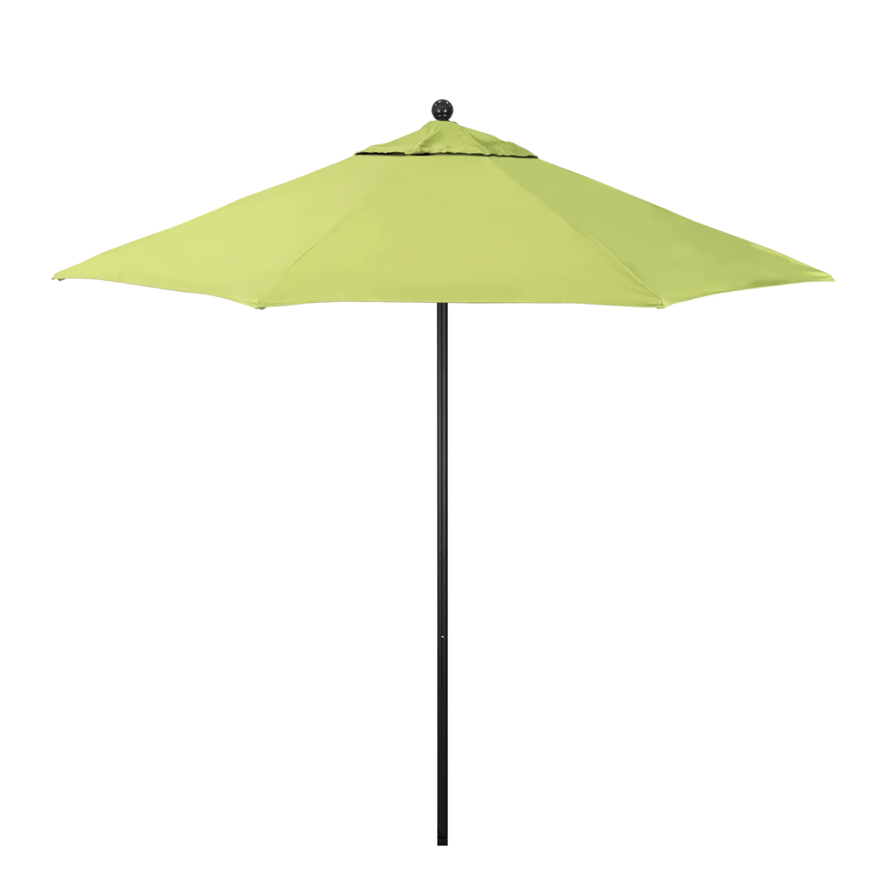 GSCU908-5405 Parrot - Black Finish