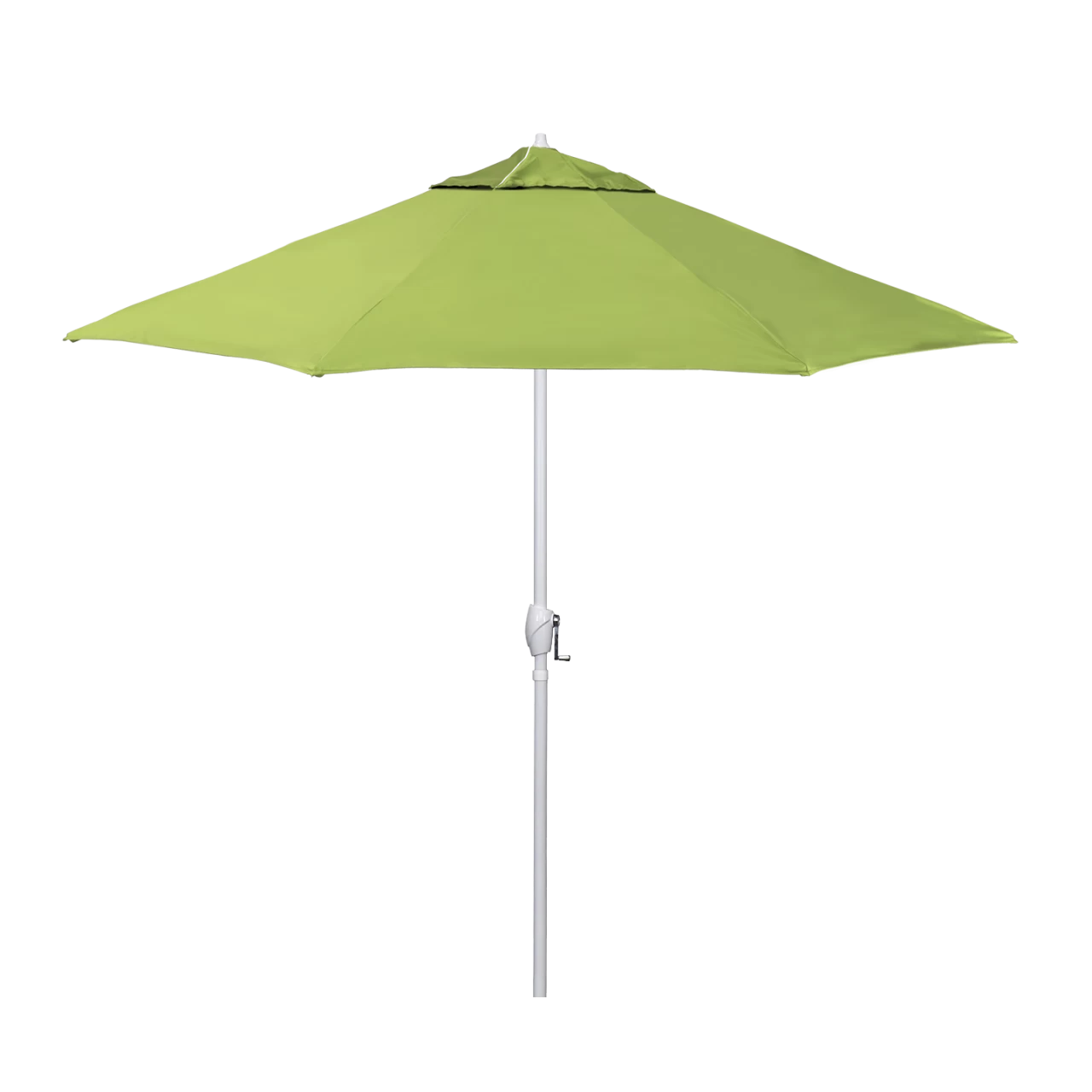 ATA908-5429 Macaw - White Finish