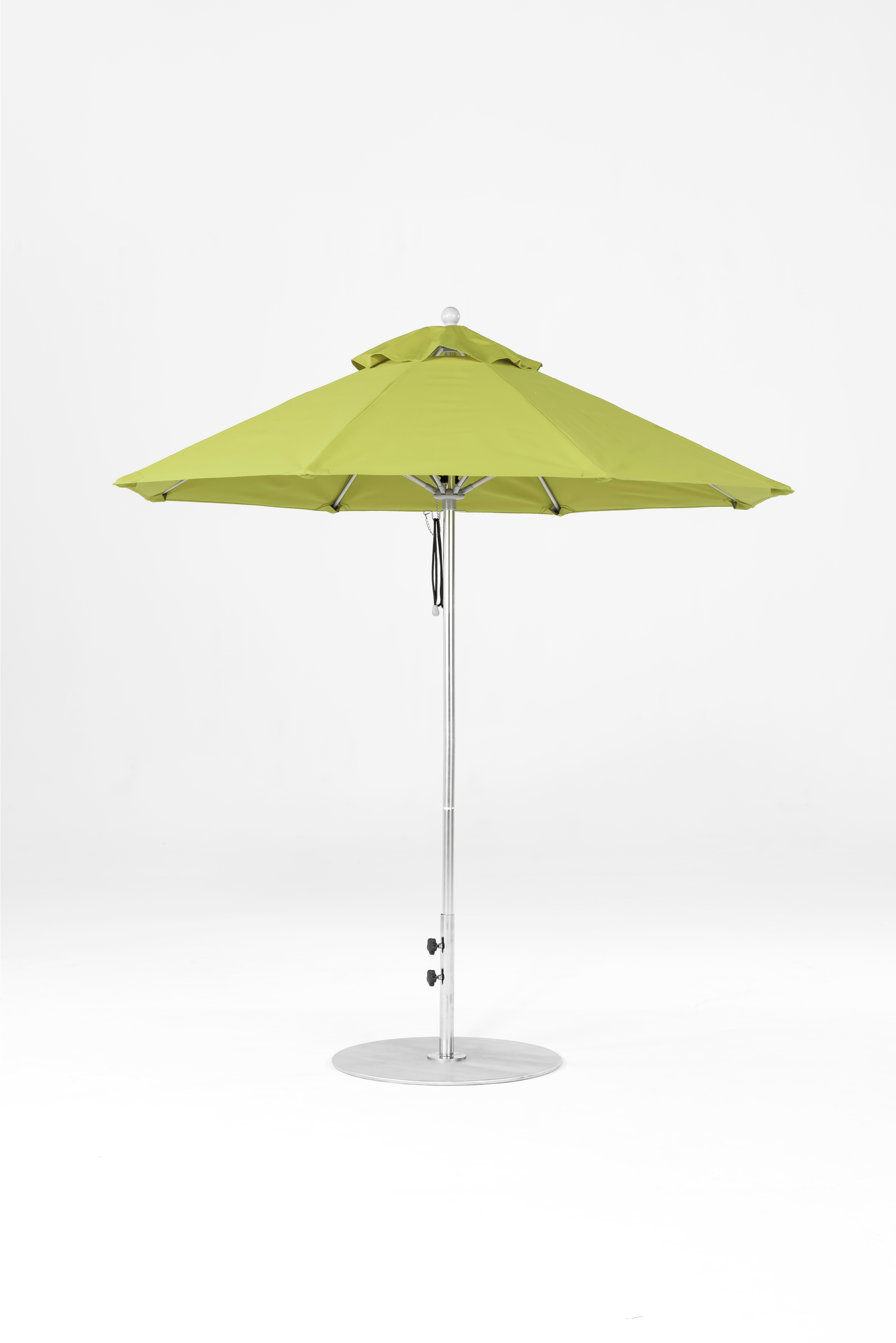 845FM-R160 Pistachio-Brushed Silver