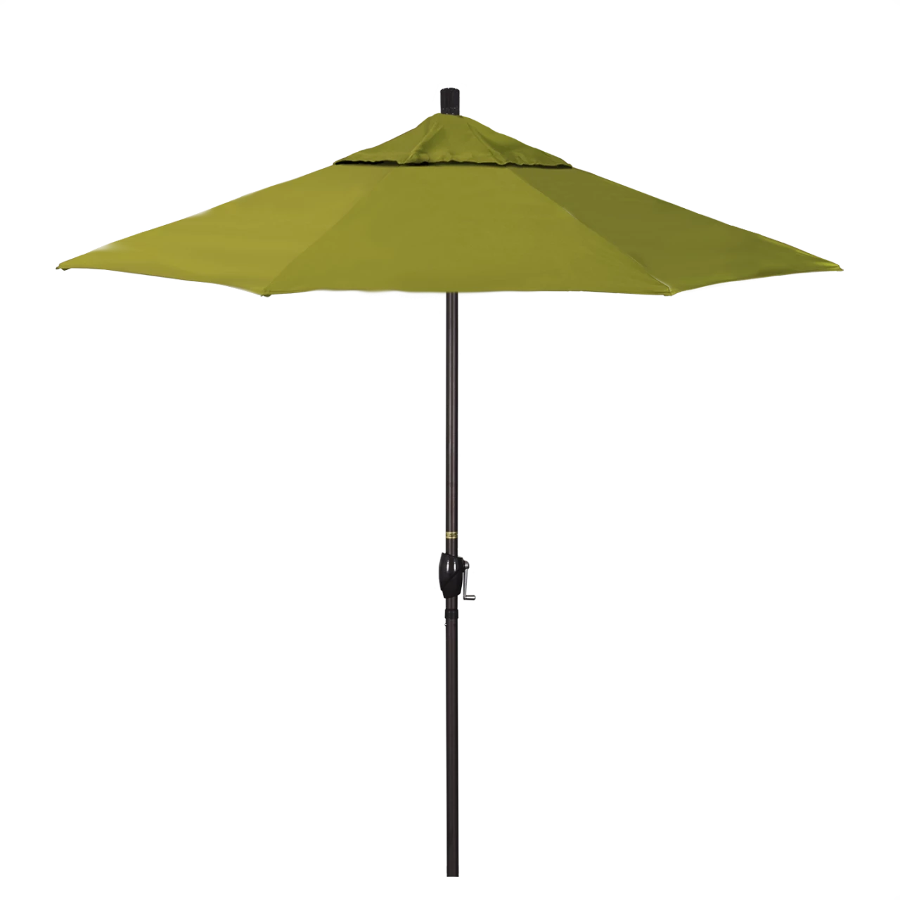 GSPT758-SA11 Ginkgo - Black Finish