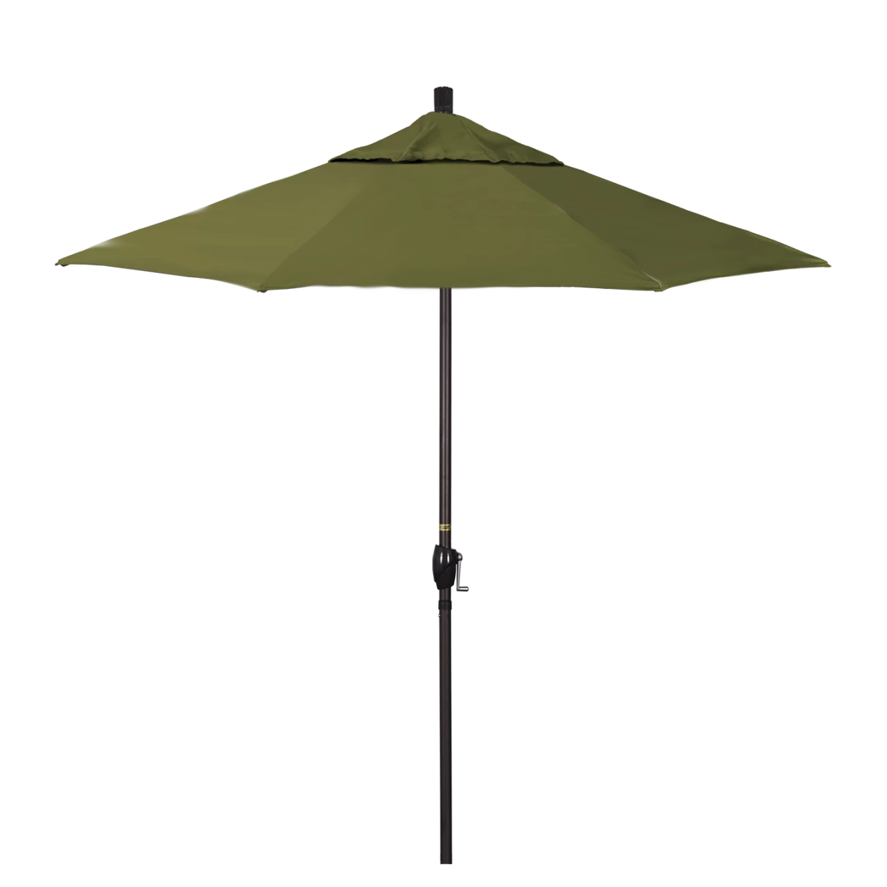 GSPT758-SA21 Palm - Bronze Finish