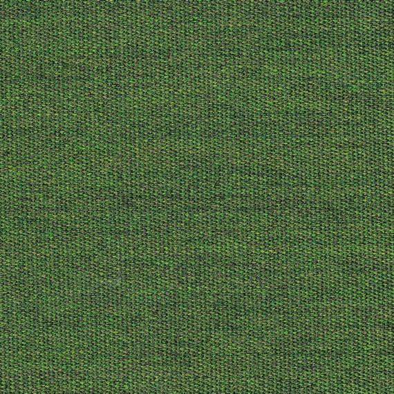 Grade A Fern