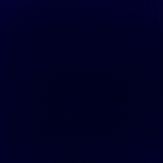 Grade C Navy Rain